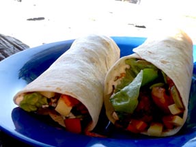 Wraps on plate