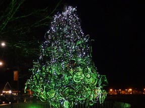 Bicycle Tree Rotorua