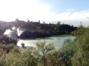 Lake Sun Whakarewarewa