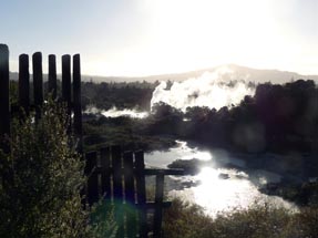 Landschaft Whakarewarewa