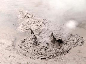 mud pool Wai-O-Tapu