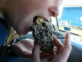 Lamington Groß