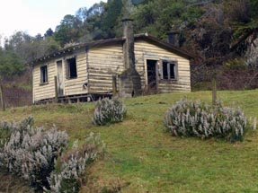 Wodden shed in the forest