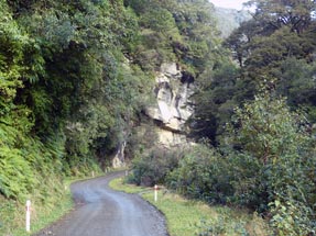 View jungle street