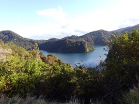 Lake Waikaremoana