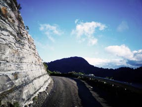 Te Urewera Urwald Straße