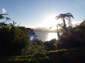 Sunshine Te Urewera