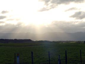 landscape North Island