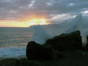 Stone waves Cape Palliser