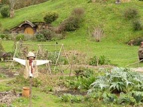 Scarecrow Hobbiton