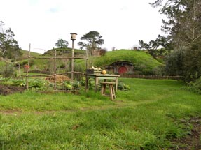 Garden with house in behind