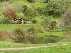 Teich Hobbiton