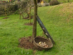 harvest basket Hobbiton