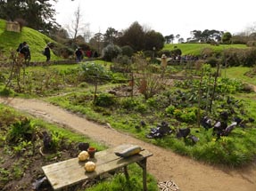 Garten Hobbiton