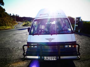 Marty Coromandel sunshine