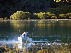 Fishermen Coromandel