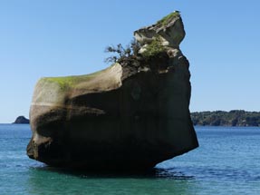 Rock sea Cathedral Cove