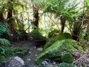 Weg Buchten Cathedral Cove
