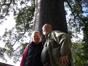 Bianca Ulli Kauri