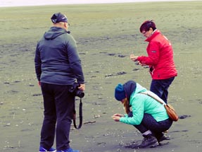 Strand Piha Ulli Geli Bianca