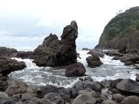 Piha Surf Rescue beach