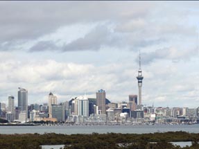 City view Auckland