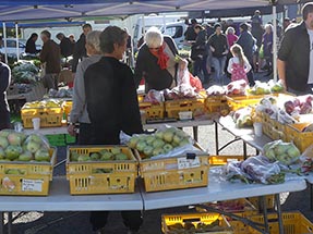 Obstkisten Gisborne