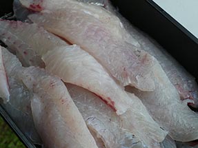 Geschnittene Fisch filets