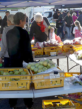 Tolle Auswahl Obst & Gemüse