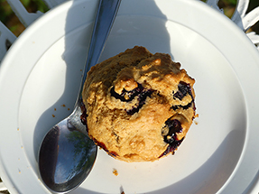 Blaubeer-Muffin von oben